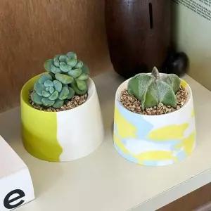 답례품 선물용 패턴 도자기화분 다육재배키트