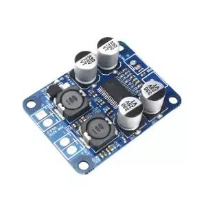 TPA3118 60W 모노 디지털 오디오 앰프 보드 모듈 12V24V 고출력 클래스 D PBTL DIY 스피커용