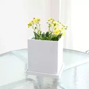 고강도 플라스틱 긴사각 화분 17x17x20cm 가벼운 꽃화분 식물 플라워 꽃집 분배 인테리어 정원 원예 베란다