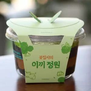 공기정화 가습 양지이끼 테라리움 꽃집사의 정원이끼 기르기 키우기 식물키우기 재배기 DIY키트 취미 화단