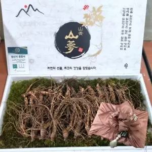 [하프클럽/기타]VDG 산양삼 10-11년근 최상급 10뿌리