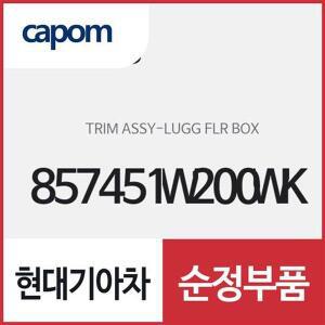 [현대모비스]러기지 필라 박스 트림 (857451W200WK) 프라이드