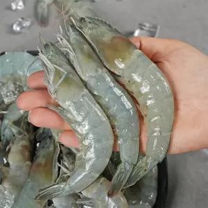 국내산 활 흰다리새우 2kg