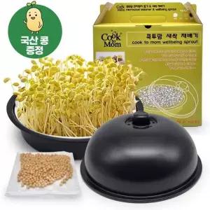 새싹재배기 콩나물기르기 세트 학습용 식물 재배 도구