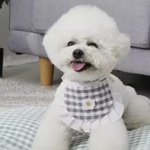 [아우트_68]강아지 체크 강아지패션 케이프 1P 애견