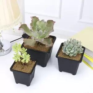 식집사 윈코 플라스틱 사각 다육이 14X14cm 화분 모종 소형 빈 선인장 포트 비닐