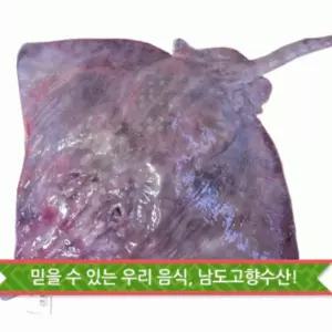 진품 홍어 흑산도 숙성도 선택 바코드확인 1.7kg