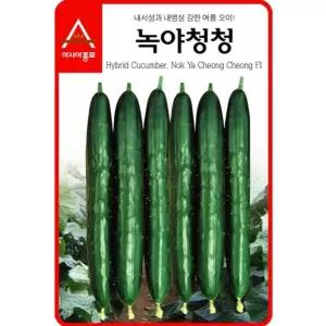 오이씨앗 녹야청청 40립 종자 씨앗 오이 모종