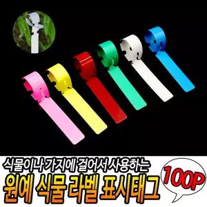 원예 식물 라벨 표시태그 100P고리 나무이름 묘목 리본 용품 부자재 대그