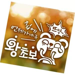 소담픽 자동차스티커 언제가냐규 왕초보곰돌이 화이트시트지 초보운전도로연수