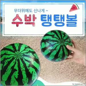 수박 축구공 공 KC인증 펌프 비치볼 수박공 탱탱공 비취볼
