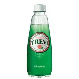 트레비 자몽 300ml 20개