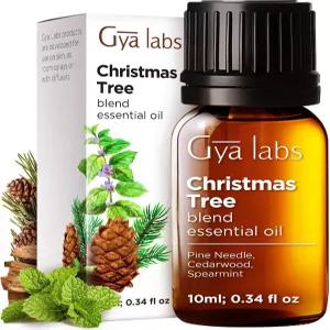 Gya Labs 크리스마스 트리 에센셜 블렌드 - 0.34 Fl Oz 가정용 및 DIY 양초 제조용 향