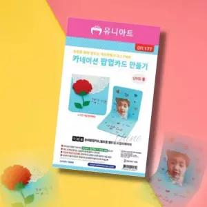 OH 어버이날 입체카드DIY 10개 1세트 카네이션카드 스승의날선물 재료