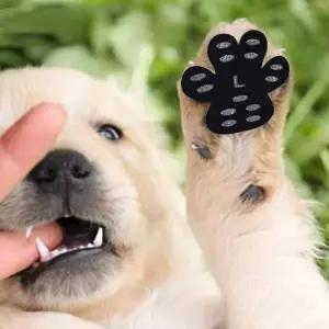 애견 발바닥 패치 미끄럼방지 산책 강아지 풋 패드 4P DD-13243-1