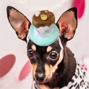 금방상점 반려동물 케이크 머리띠 민트 고양이생일꼬깔모자