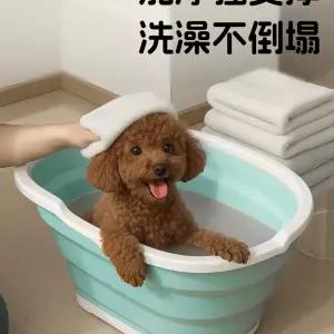 강아지욕조 대형견 애견목욕 샤워보드 블루 욕조