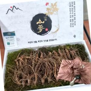 산양삼 1등급 5뿌리 7-8년근 식자재
