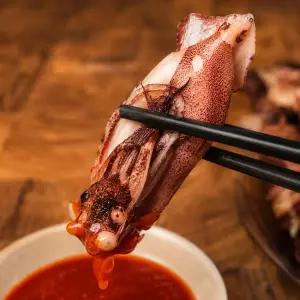 쫄깃 고소한 통찜용 총알한치 500g 1팩 2팩