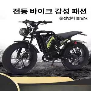 바이셀 자토바이추천 전기자전거 전기자토바이