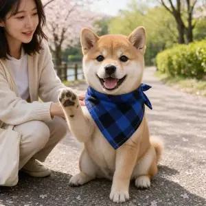 [콩심팥심]강아지 스카프 체크 반다나 반려동물 목수건 애견 산책 액세서리