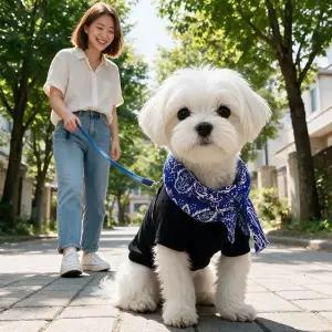 [콩심팥심]강아지 쿨링 스카프 여름 반려동물 산책용 외출 아이템 반려견