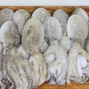 제철 냉동 쭈꾸미 6kg