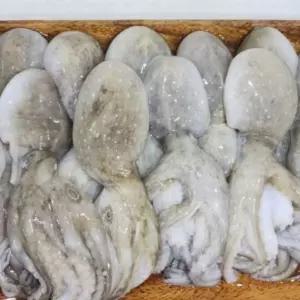 제철 냉동 쭈꾸미 4kg