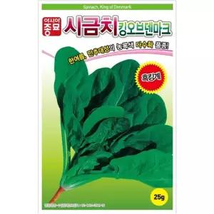 [아시아종묘/시금치종자씨앗] 킹오브덴마크 시금치-흑킹 (500g-약5000립)