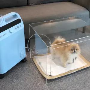 의료용 강아지 산소방 대여 고양이 산소발생기 1개월 렌탈 애견 산소호흡기 임대