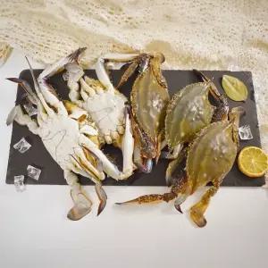 서해안 활 숫꽃게 1kg