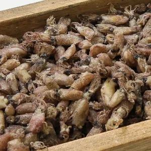 한진건해 쫄깃한 제철 말린꼴뚜기 반찬용 볶음꼴뚜기 국산 꼴뚜기 1.5kg