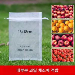 과일 보호망 새 포도 13x18cm 복숭아 방지 100개입 봉투
