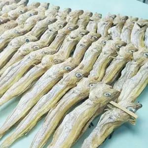 V 줄노가리 100마리 건조 대구노가리안주 용건어물 마른 건노가리