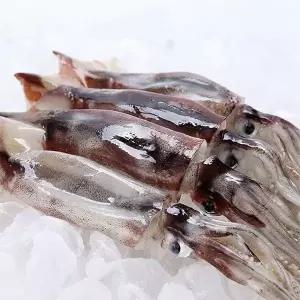국내산 동해안 자연산 급냉 활오징어 5미 1팩