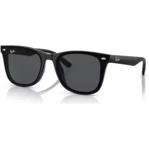 14637414 남자 선글라스 패션 고급 명품 가벼운 레이밴 RAYBAN 레이반 RB4391D 601/87 65 사이즈 프레임 색
