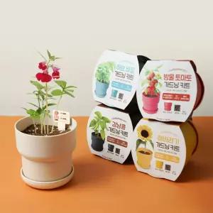 꿈쟁이 나만의 미니텃밭 가드닝키트 5종 택1 가드닝 키트 텃밭 화분 자연교육 원예 식물