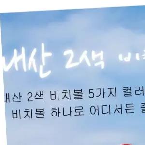 (국산) 2색 (대)2색비치볼 6가지 국내산 컬러