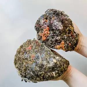 제철 바위굴 3kg(3~6미 내외)