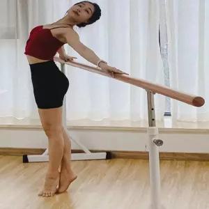 이동형 무용바 발레바 봉 홈짐 레슨 자세교정 유연성 운동용 댄스 스트레칭 요가