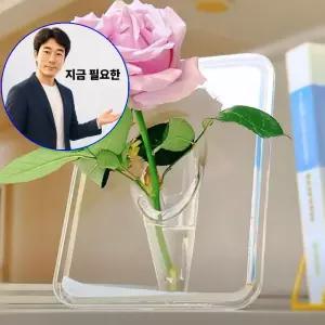 지금 필요한 투명액자꽃병 프레임 인테리어 아크릴 화병 DD-13383