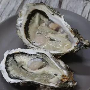 바위굴 하프쉘 2kg(2-3미)