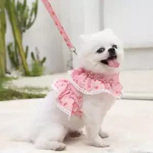 러블리 강아지옷 레이스 고양이 반려동물 하네스 핑크 M