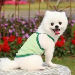 귀여운 아보카도 강아지 고양이 반려동물 애견옷 S