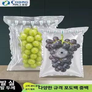 모리몰 포도포장지 거봉 사과 에어캡 과일 포도