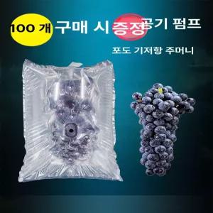 모리몰 포도포장지 봉투 거봉 전용 과일 포장지