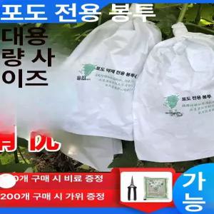 모리몰 포도포장지 전용 복숭아 종이완충재 완충재