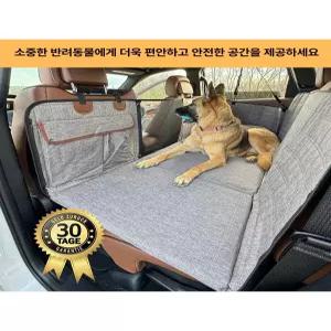 대형견 카시트 강아지
