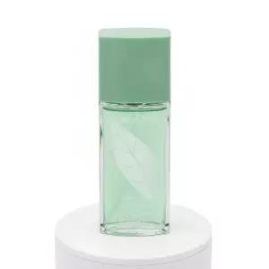 엘리자베스아덴 그린티 센트스프레이 100ml