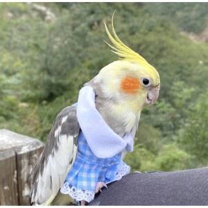요요 맞춤 현봉앵무옷 중소형 새옷 01 연청 새용품 비행복 금강 앵무새옷 큐티 우주복